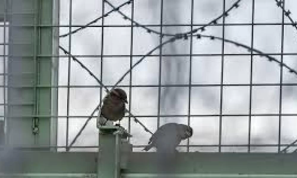 Πάτρα:Πάνω από 35 τα κρούσματα κορονοϊού στις φυλακές του Αγίου Στεφάνου